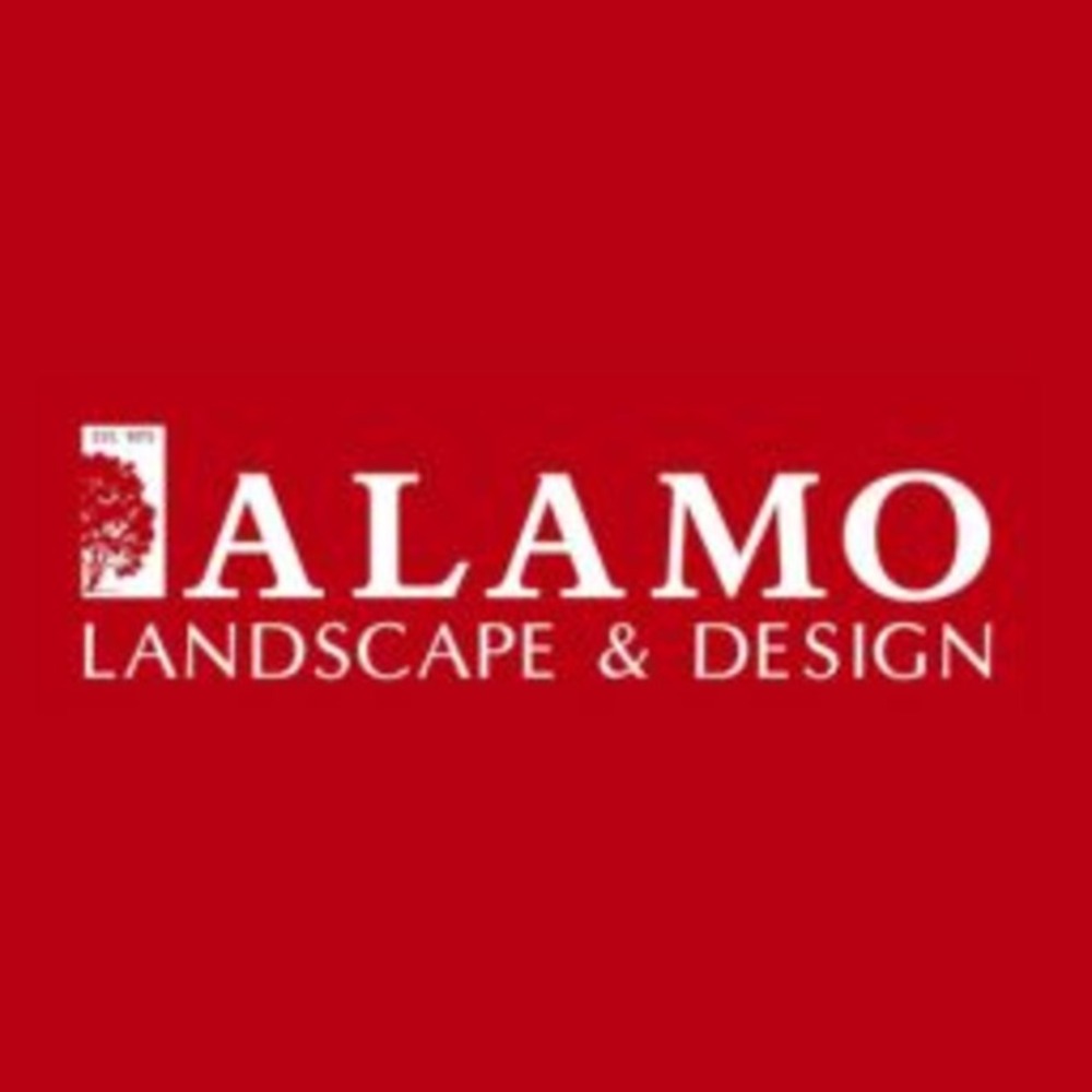 Alamo logo (1) (1)