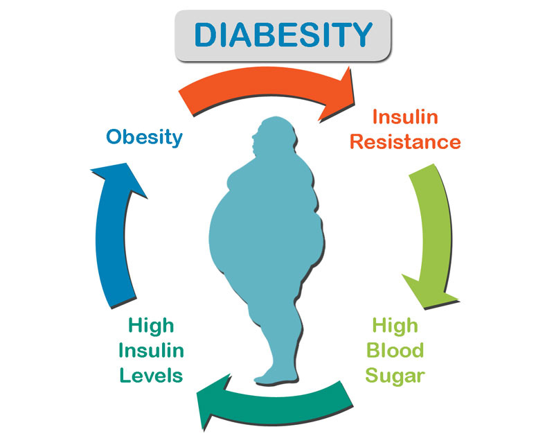 diabesity