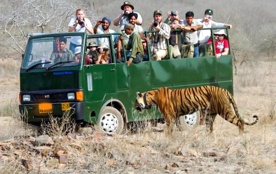 corbett-canter-safari