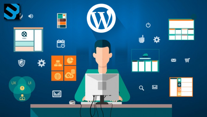 Web Developers Use WordPress Themes